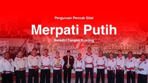 Perguruan Pencak Silat